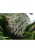 Паракорд Rothco Nylon Paracord 550 Type III (woodland camo 323) в наявності