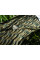 Паракорд Rothco Nylon Paracord 550 Type III (woodland camo 323) в наявності