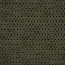 3D-сітка 300 TUR (Airmesh Strong) ranger green