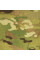CORDURA COATED NYLON FABRIC 1000 DENIER PU (Original MultiCam®) 58-60" WIDE в наявності