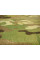 CORDURA COATED NYLON FABRIC 1000 DENIER PU (Original MultiCam®) 58-60" WIDE в наявності